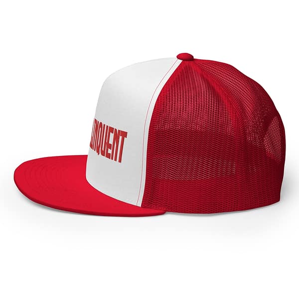 Retro Namesake NR Trucker Cap - Image 3